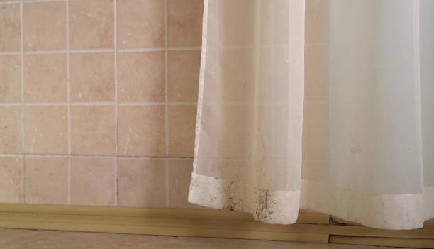 Best Mold Remediation for Healthcare Facilities  in Schoolcraft, MI
