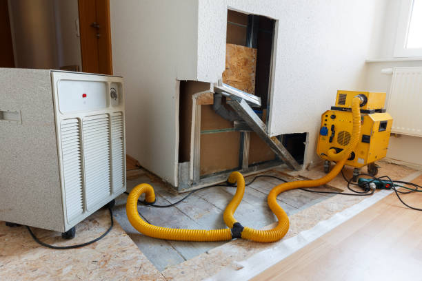 Best HVAC Mold Inspection and Cleaning  in Schoolcraft, MI